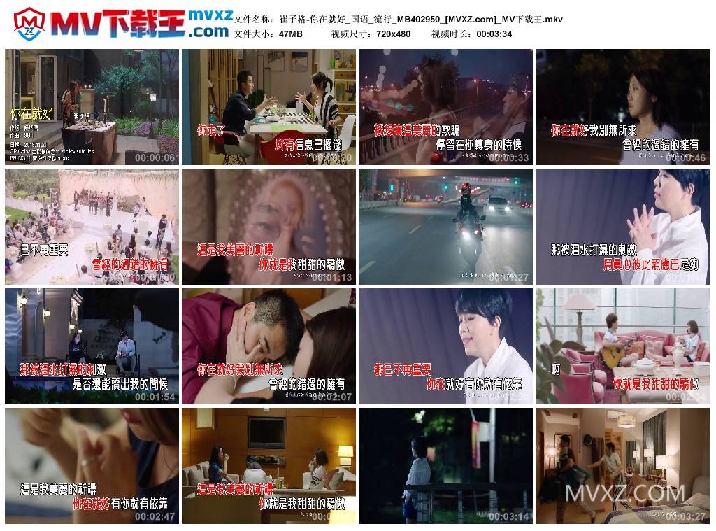 崔子格-你在就好_国语_流行_MB402950